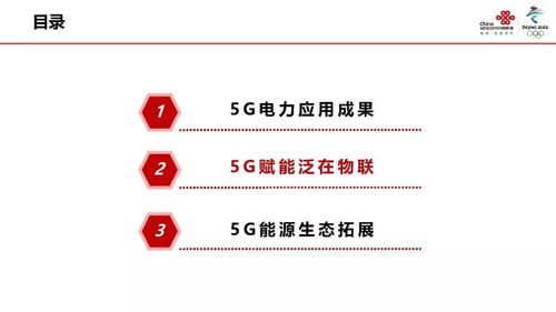 中國聯通網絡技術研究院張涌 5G使能泛在電力物聯網
